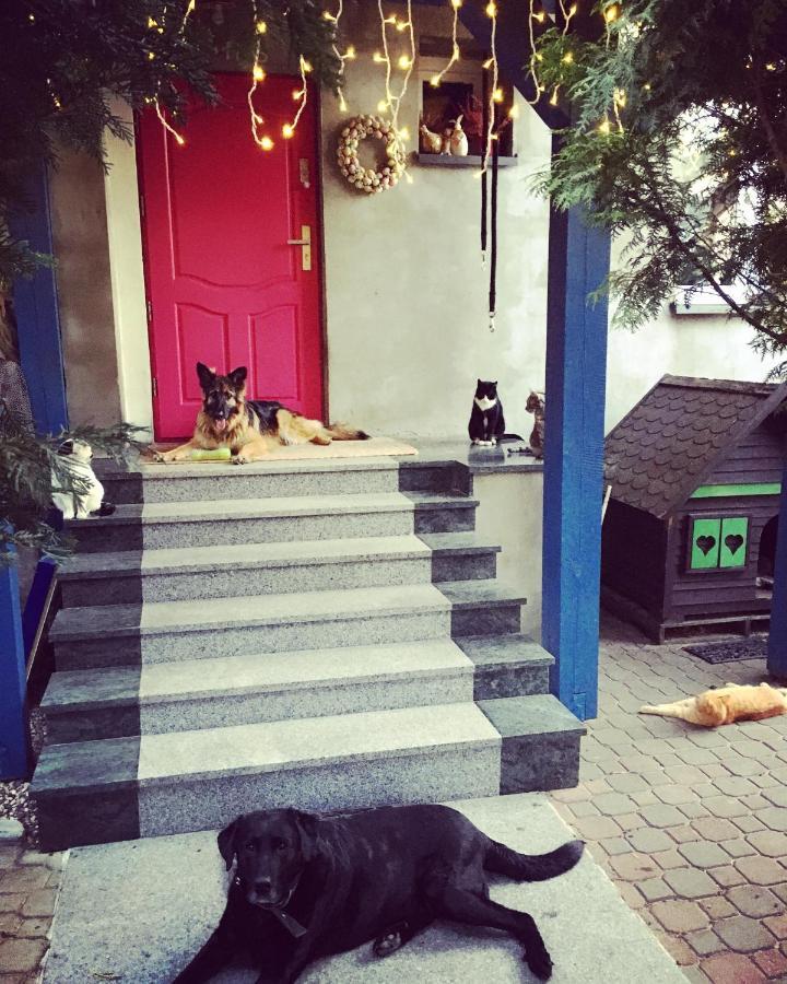 피츠 Cat Stone 빌라 외부 사진